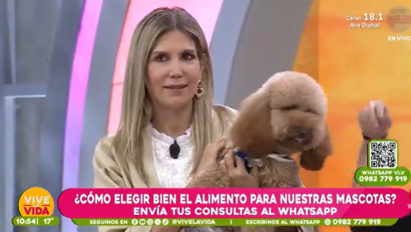 ¿Cómo elegir bien el alimento para nuestras mascotas?