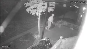 Violento robo en despensa de Obligado: delincuentes se llevan caja registradora