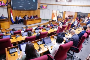 Gobierno defiende en el Senado la viabilidad del tren de cercanías y destaca su impacto en el transporte urbano - El Trueno