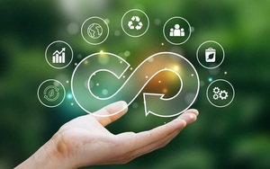 Brassur impulsa la exportación de metales reciclados desde Paraguay y apuesta a la economía circular - 5Días