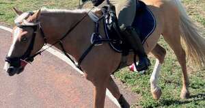 Se alejó de los medios, hoy le va a los caballos