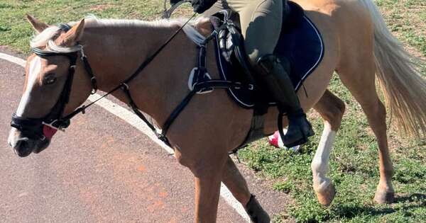 Se alejó de los medios, hoy le va a los caballos