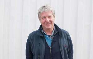 Novillo en niveles récord y perspectivas firmes: el mercado global sostiene valores altos