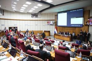 Senado levanta sesión por falta de quórum y convocan a extraordinaria