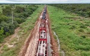 Precariedad vial golpea al sector agroganadero: decenas de camiones varados en Alto Paraguay - Noticias del Chaco - ABC Color