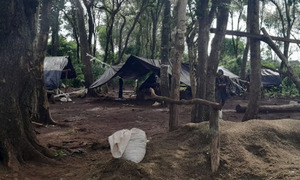 Destruyen 42 campamentos y arrasan cultivos en Amambay - OviedoPress