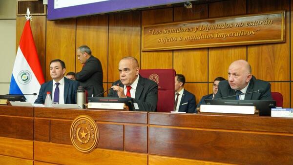 Basilio Núñez asegura que hay votos para reglamentar senaduría vitalicia, pero el tratamiento fue postergado