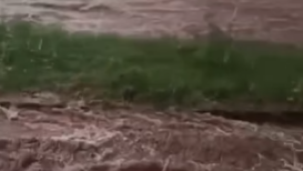 La emotiva carta de un niño al gobernador de Central pidiendo por el arreglo de su calle