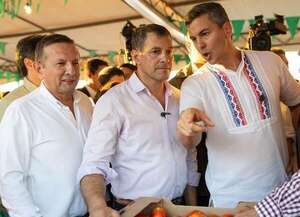 Preliminar para extitular del Senave, postergada por llamativo reposo de abogada - Nacionales - ABC Color