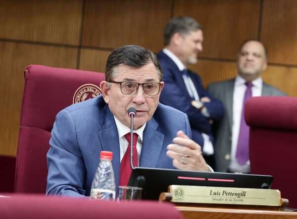 Pettengill buscará individualizar a violadores de la Constitución para recibir castigo en las urnas - Política - ABC Color