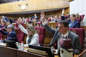 Senado acepta veto parcial al consumo obligatorio y liberación del IVA al biodiésel  - Política - ABC Color
