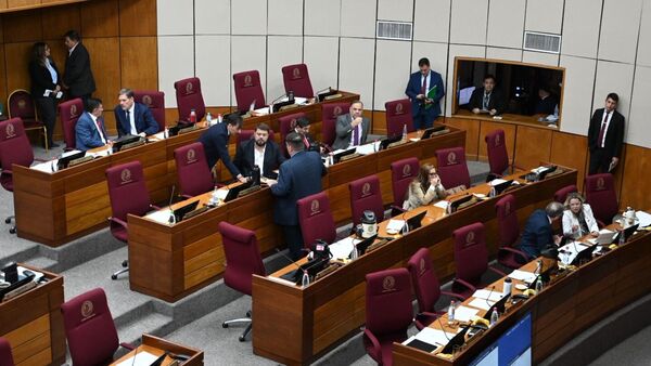 Senadores llaman a revisar los privilegios en la EBY y piden respetar meritocracia