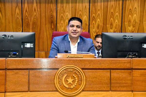 Diputado Hugo Meza ratifica tener visa y busca pasaje al Mundial en EE.UU. - Política - ABC Color