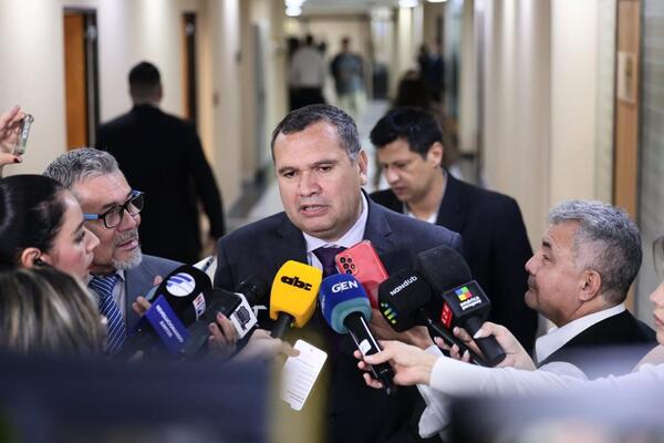 Derlis Maidana asegura que Cartes "no tiene intención" de candidatarse a senador activo