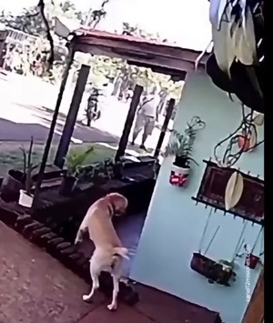 Discusión por deuda terminó en homicidio doloso