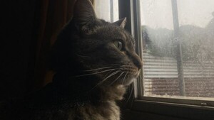 Jueves entre neblinas y tormentas dispersas en el norte y este del país