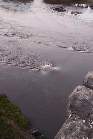 Joven policía se salva de milagro tras caer con su vehículo al río Tebicuary | Unicanal