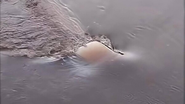 Se salvó de milagro: Cayó con su auto al río Tebicuary y logró salir con vida