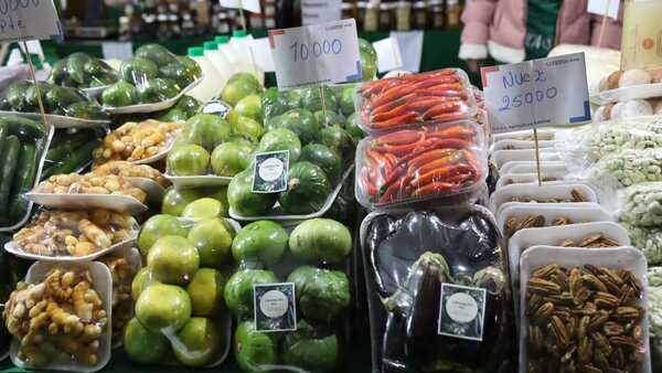 Masiva concurrencia impulsa ventas en feria de la Agricultura Familiar en la Costanera