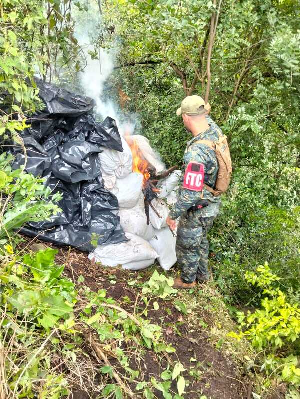 SENAD destruyó 83 toneladas marihuana causando una pérdida de USD 12 millones