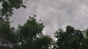 Viernes caluroso con vientos del norte y alerta de tormentas