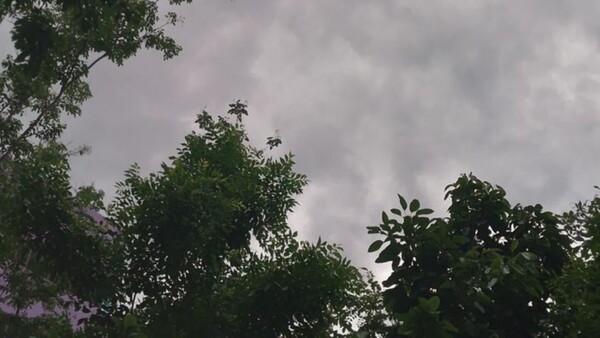 Viernes caluroso con vientos del norte y alerta de tormentas