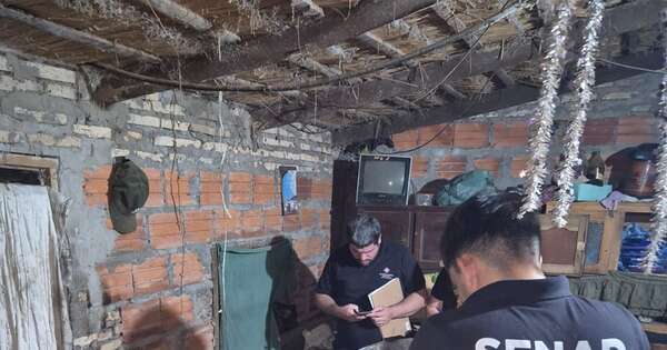Diario HOY | Senad ejecuta operativos contra el tráfico de drogas en Pilar