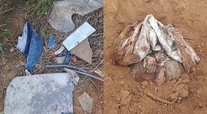 Chaco: hallan restos de helicóptero y un cuerpo enterrado - ADN Digital