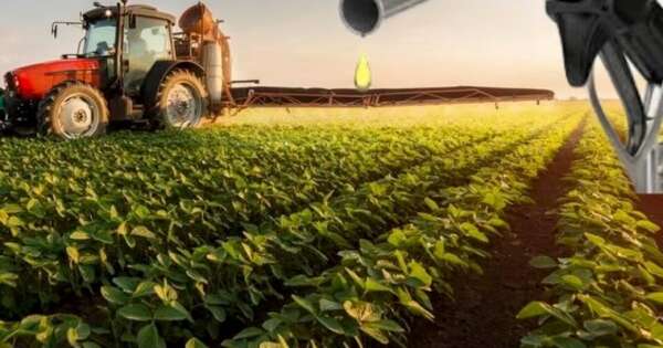 La Nación / Ejecutivo reglamenta Ley de Etanol y asegura mercado interno para la caña de azúcar