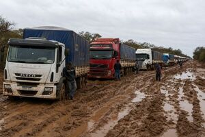 Camiones varados obligan a evacuar centenares de cabezas de ganado