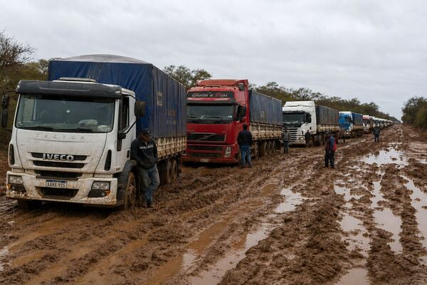 Camiones varados obligan a evacuar centenares de cabezas de ganado
