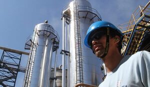 Comportamiento del mercado laboral: reportan aumento en la tasa de ocupados - trece