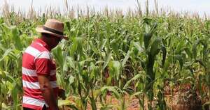 La Nación / El agro destaca al trabajador rural como pilar económico
