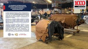 UIP rechaza campaña de oenegés y defiende la industria del cuero paraguayo