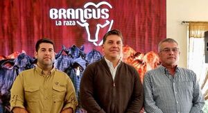 La Expo Brangus de Otoño tendrá más de 800 ejemplares en competencia