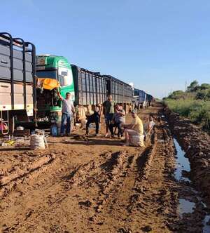 Día del Trabajador en el barro: camioneros logran salir tras una semana de estar empantanados en Alto Paraguay - Noticias del Chaco - ABC Color