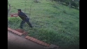Insólito: hombre ingresa a vivienda y se lleva una prenda íntima