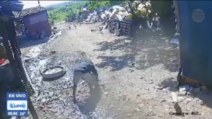 Dueños hartos terminan con la carrera delictiva de dos "robalechones"