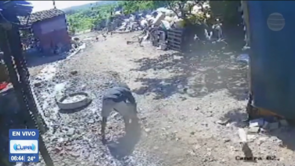 Dueños hartos terminan con la carrera delictiva de dos "robalechones"