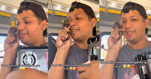 La Nación / ¡Insólito! Freestyler paraguayo rapea con ratones sobre la cabeza