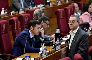 Proyecto para criminalizar denuncia falsa genera dudas por posible sobrelegislación y ambigüedad - Política - ABC Color