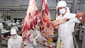 Menor oferta y presión de costos inciden en los precios de la carne