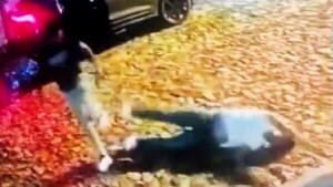 Para abogado, muerte de pasajero de plataforma fue "involuntaria" y pide cambio de carátula