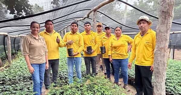 La Nación / Comunidad ayoreo protagoniza modelo productivo en Boquerón