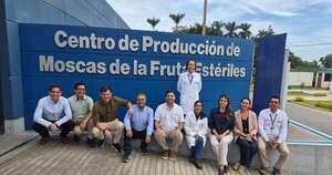 La Nación / Senave y Senasa de Perú cooperan para impulsar exportaciones agrícolas