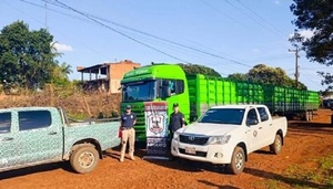 Investigan presunto abigeato tras incautación de camión con 75 vacunos