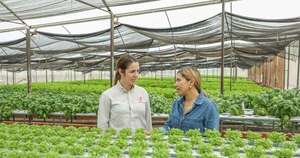 La Nación / CAH ofrece “Jepytaso Mujer” para fortalecer el tejido productivo de emprendedoras
