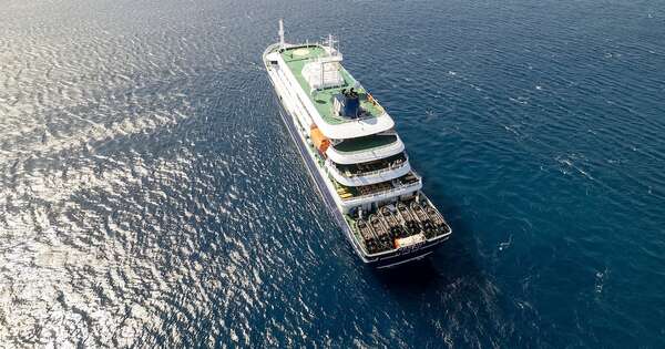La Nación / Países Bajos intentará repatriar a dos enfermos de crucero con hantavirus
