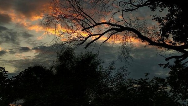 Ambiente caluroso y lluvias dispersas marcan el clima de este lunes
