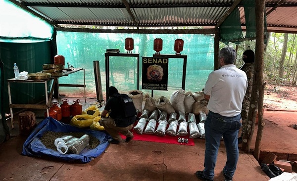 SENAD desmantela laboratorio clandestino y saca de circulación más de 118 kilos de marihuana en San Pedro